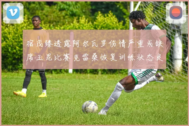 宿茂臻透露阿尔瓦罗伤情严重或缺席玉昆比赛克雷桑恢复训练状态良好